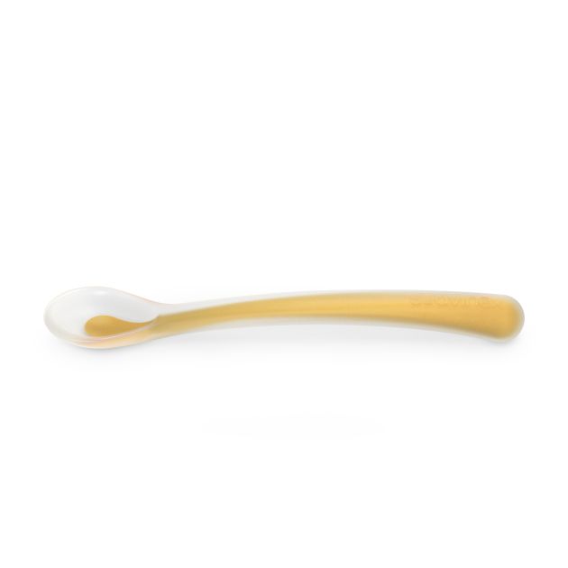 colouressencespoonmango011